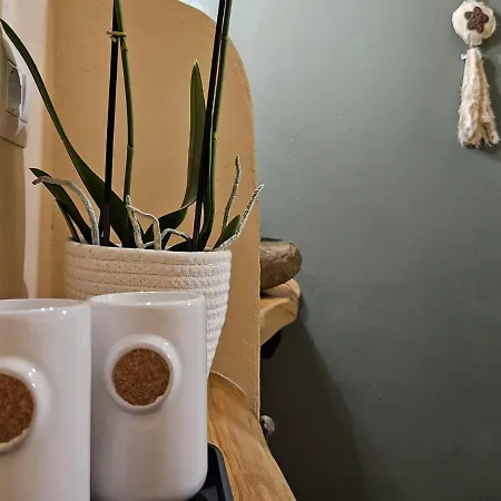 게스트하우스 Rayuela 산판탈레오